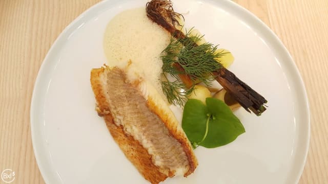 Plat