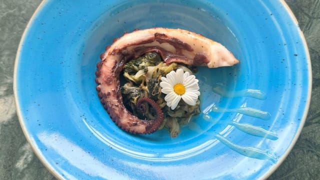 Polpo con gel di limone e scarola 
