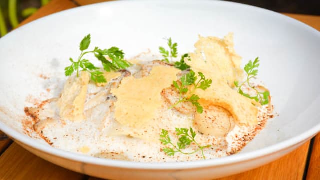 Lasagne ouverte aux cèpes, croustillant de parmesan