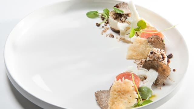Dish