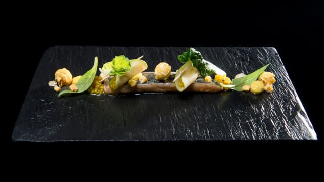 Dish