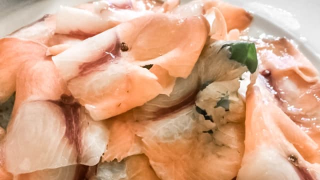 pesce