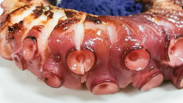 Pulpo a la Brasa
