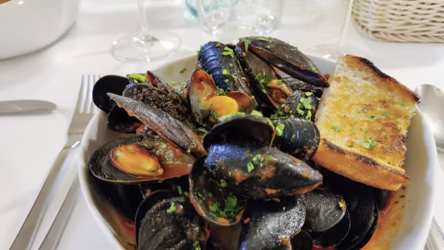 Guazzetto di cozze del golfo con crostino di pane