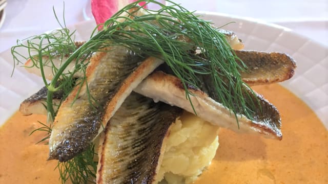 Filets de Vive, écrasée de pommes de terre