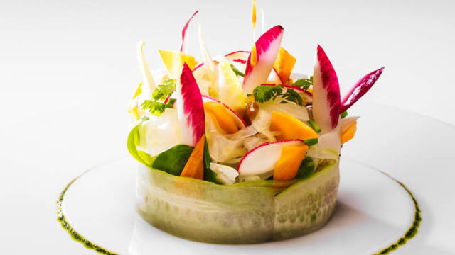 Ensalada de vegetales