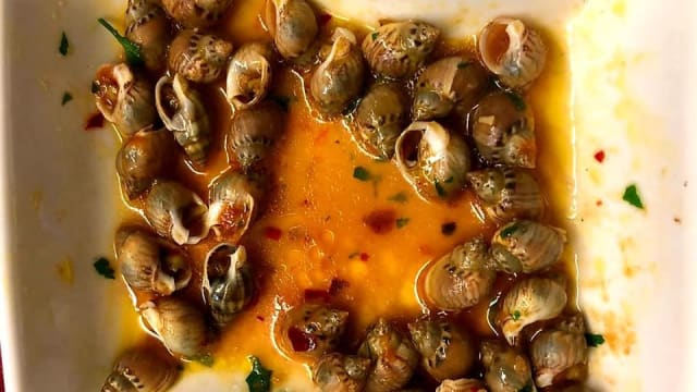 sea snails " le maruzzelle "
