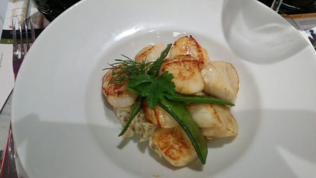 Plat