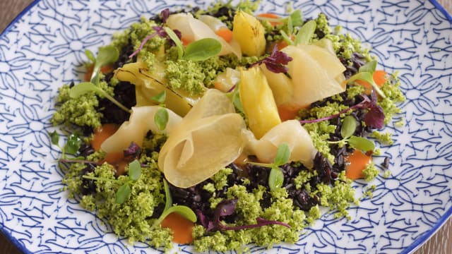 Vegan Dish