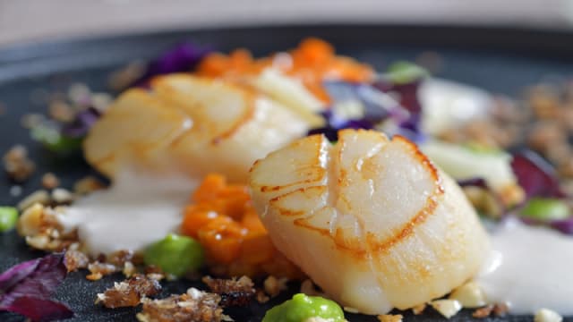 Scallops Dish