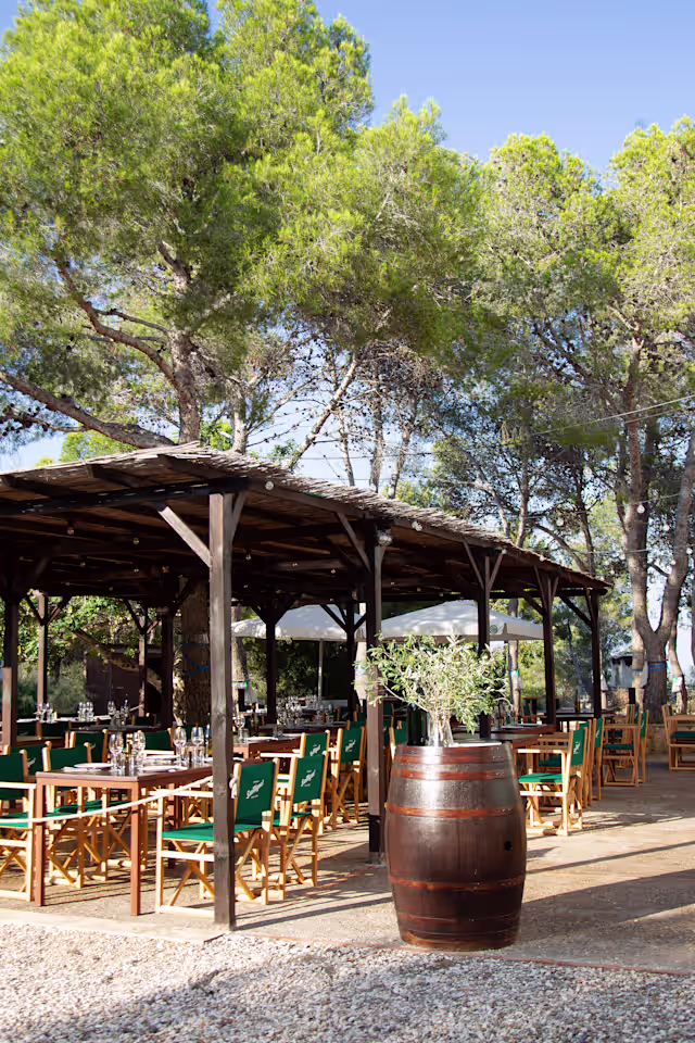 Área de comedor al aire libre con mesas y sillas de madera, cojines verdes y sombra de grandes árboles, creando un ambiente relajado y acogedor.