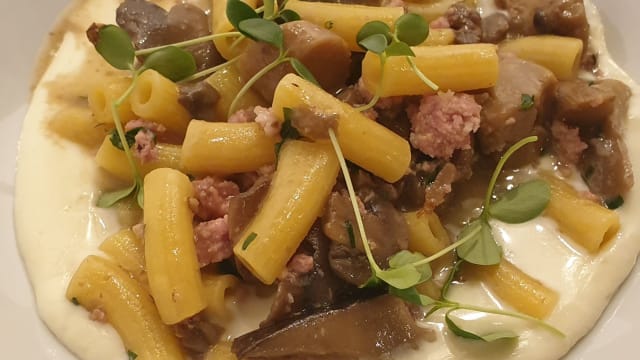 Maccheroncini di pasta fresca saltati con funghi e tastasal su fonduta di taleggio
