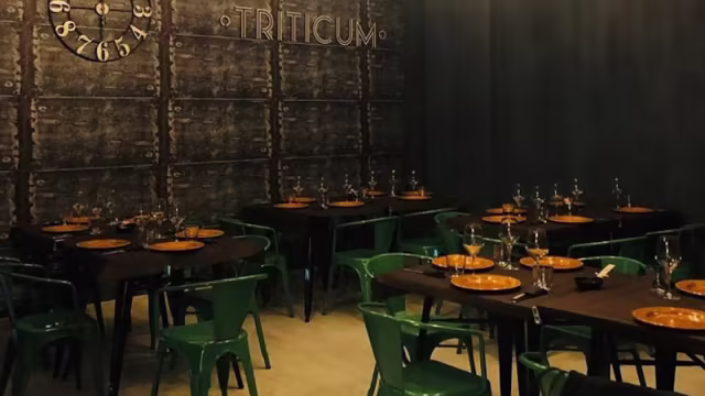 TRITICUM PizzaChef , Barletta