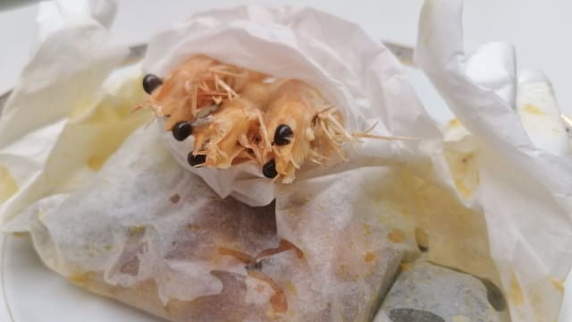 Papillote de bacalhau fresco e camarão.