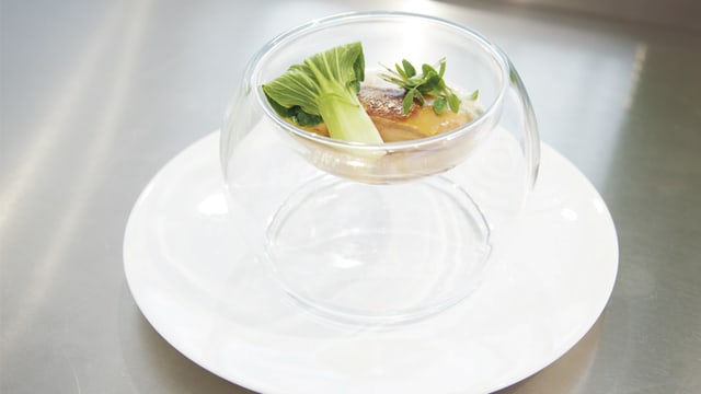 Plat