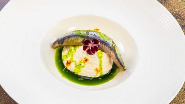 Suggerimento dello chef