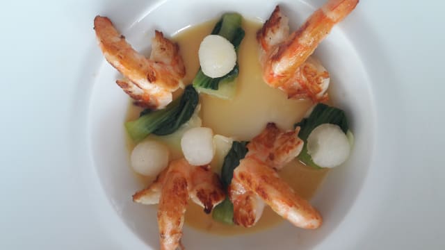 Plat