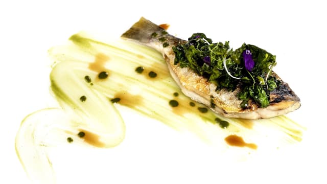 Pesce al Testo