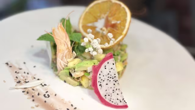 Tokyo Salon, Salon-de-Provence