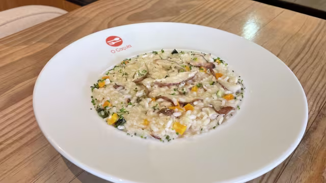 O Caçula Cervejaria, Porto