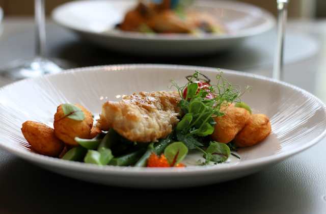 Ein kunstvoll angerichtetes Gericht mit einem goldbraun panierten Fisch auf einem Bett aus frischen Blättern, umgeben von knusprigen Kartoffelknödeln. Garniert mit jungen Kräutern und einer Sauce, die Farbe und Raffinesse verleiht.
