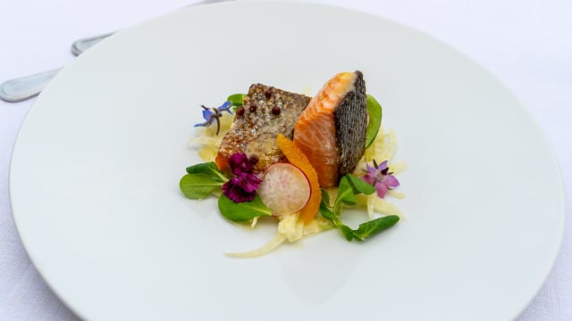 Salmone CBT