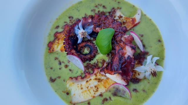 Polpo arrosto in Crema di Basilico