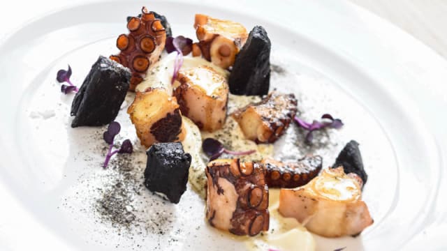 Pulpo