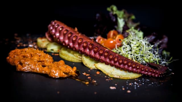 Pulpo