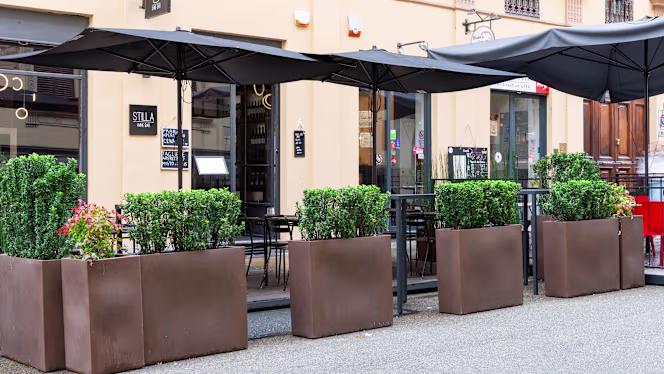 Still.a Wine Bar - 0