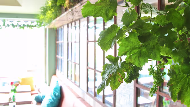 Jack Dish - Amsterdam - 1