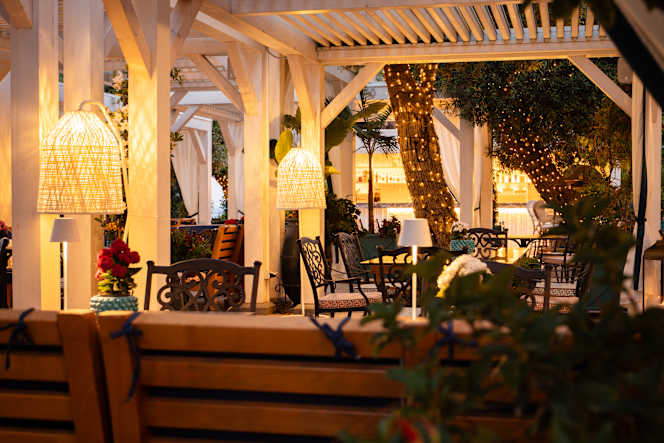 Giardino degli ulivi presso Grand Hotel Sanpietro - 8