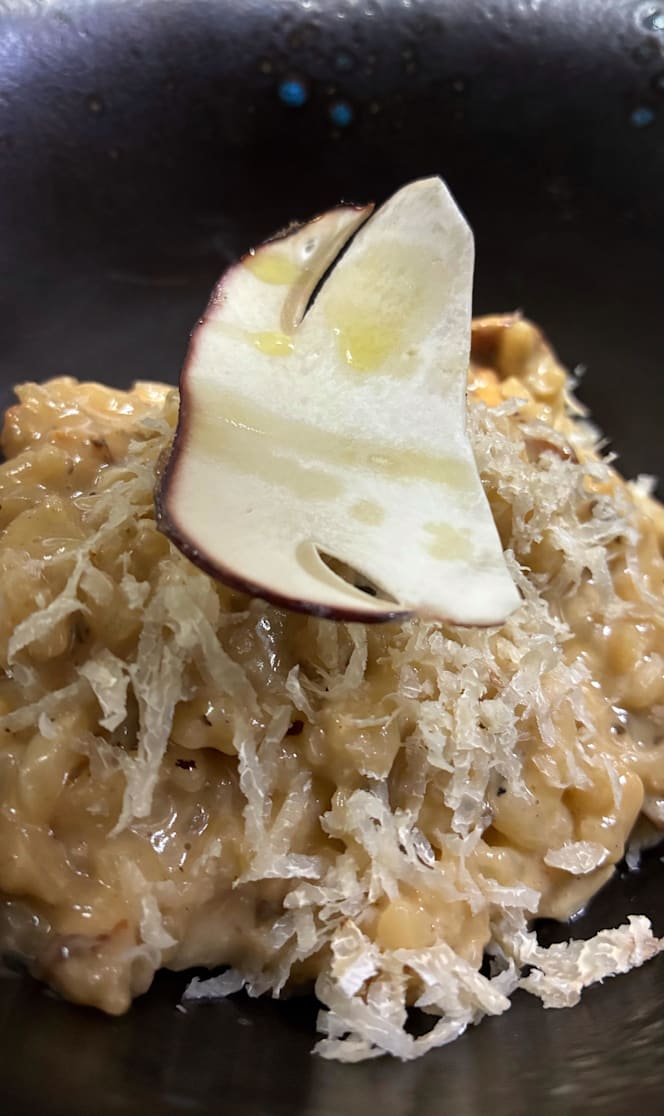 Lino Gastronomic - 2