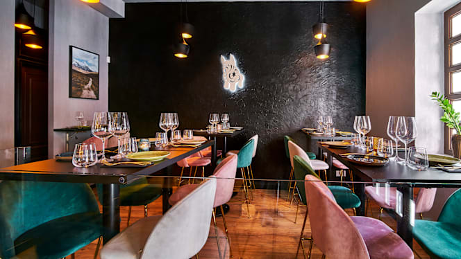 Pucará - Barra Peruana - Madrid - 8