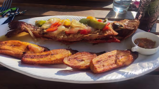 Marafiki Coin Tropical - 2