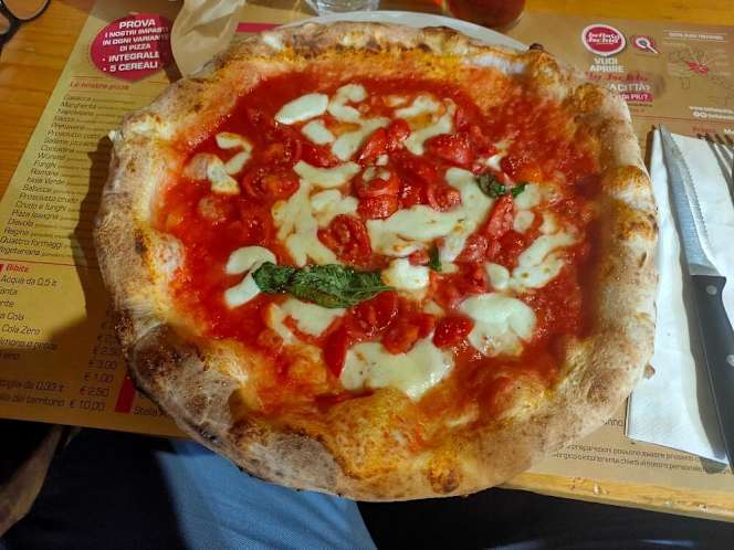 Bella Ischia Olmo - 0