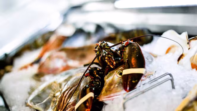 Corso Como 52 Restaurant - 3