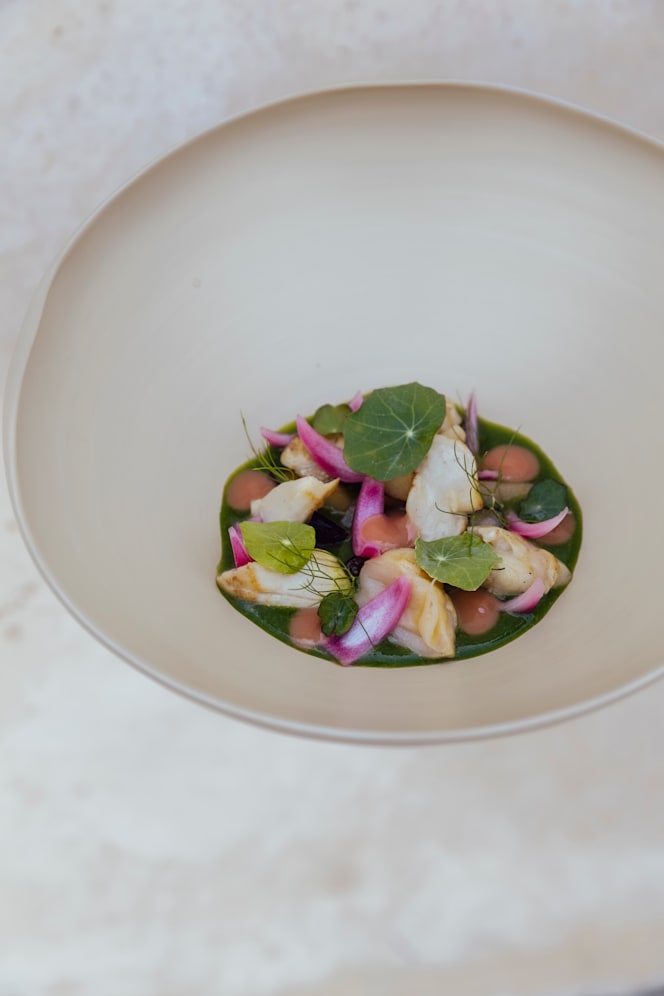 Kolonia Osteria Contemporanea - 5