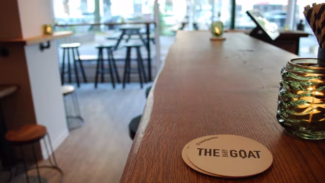 The Baby Goat House - 9