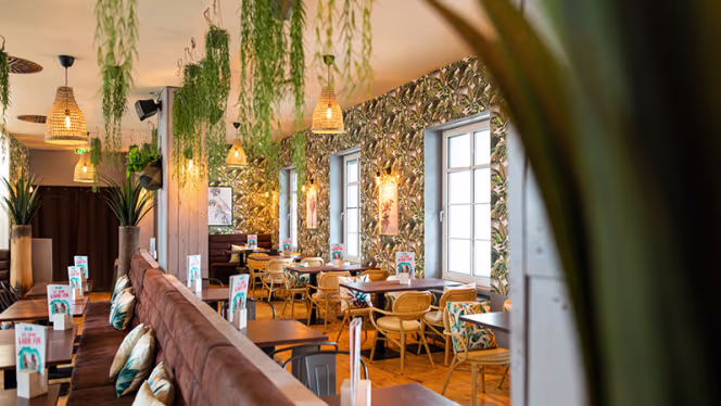 Mauritius Karlsruhe - 6