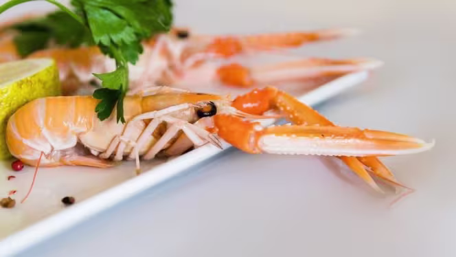 A Paciota Bistrot di Pesce - 2