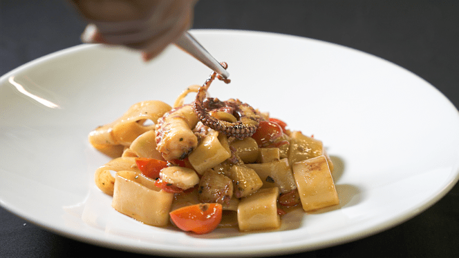 Villa Cheli la Camelia - 2