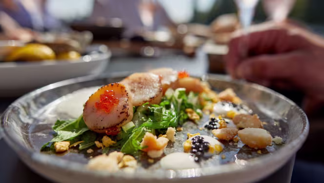 Ode Aan de Amstel - 3