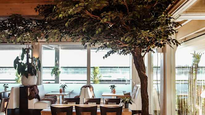 Wet 'n Wild The Social Club - 3