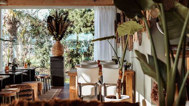 Wet 'n Wild The Social Club - 2