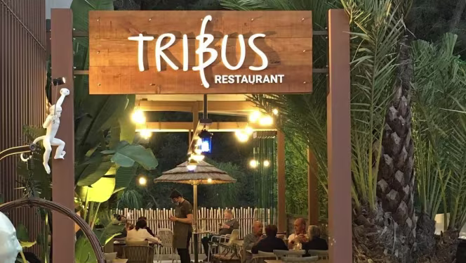 Tribus - Lloret de Mar - 0