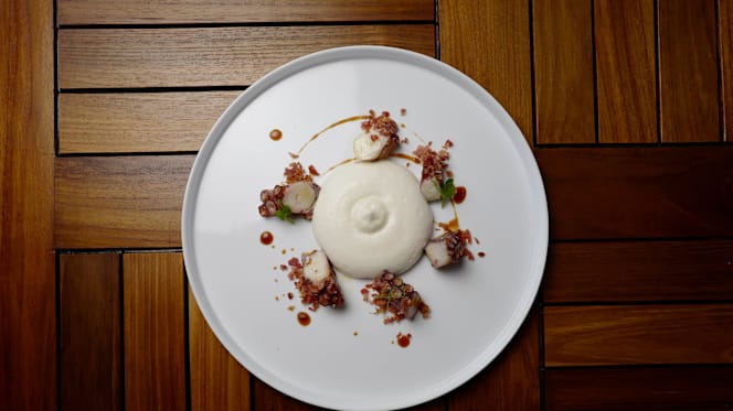 Octopus Bistro Del Mare - 8