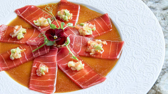 Linfa da Visionnaire - 8