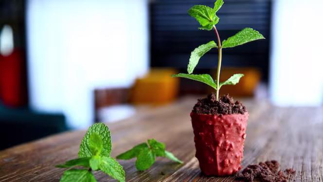 Brasserie Flow - Chassieu - 3