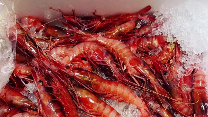 Blanco Bar Marbella - 3